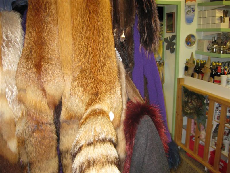 778x577 pixels (89K)