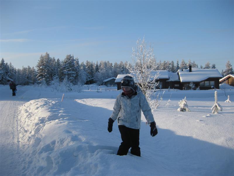 778x577 pixels (56K)