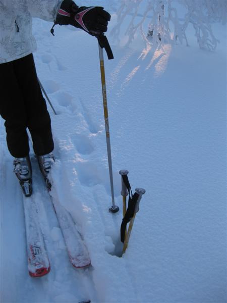 428x577 pixels (31K)