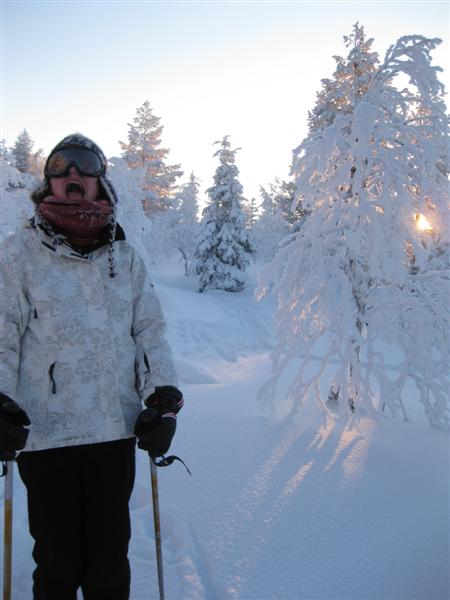 428x577 pixels (38K)