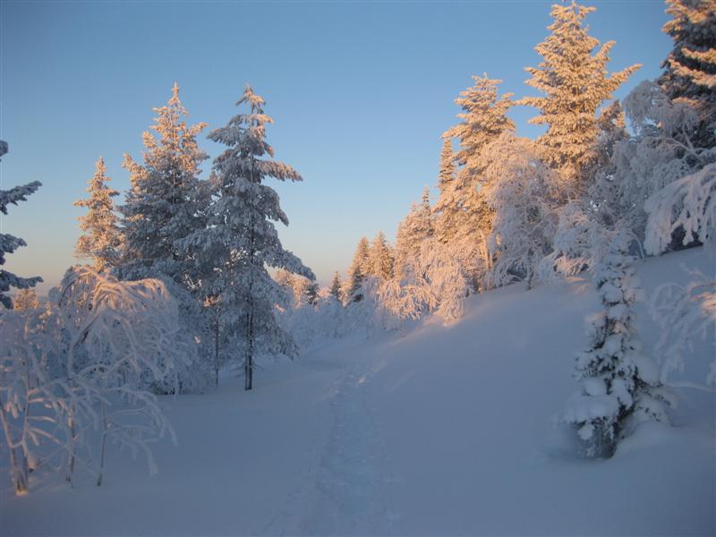 778x577 pixels (61K)