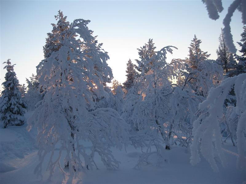 778x577 pixels (65K)