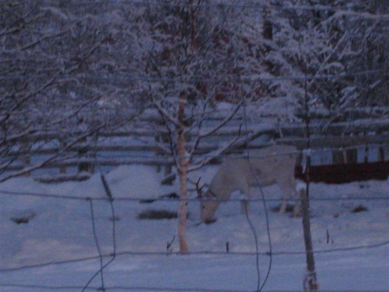 778x577 pixels (61K)