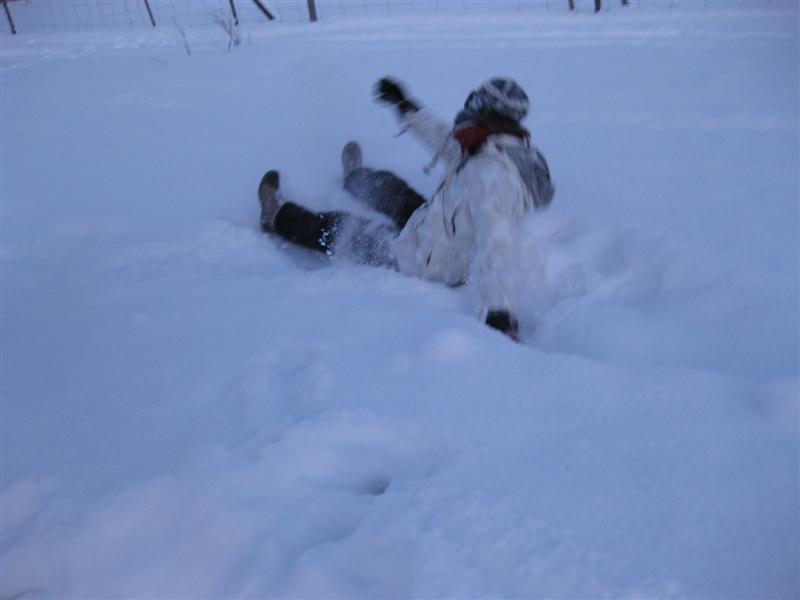 778x577 pixels (27K)