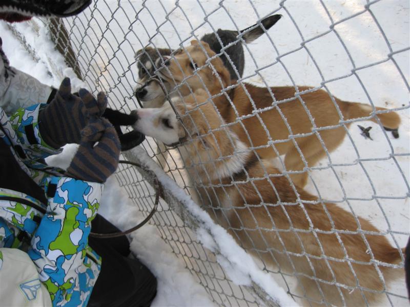 778x577 pixels (85K)