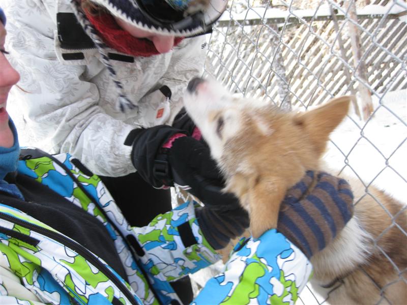 778x577 pixels (88K)