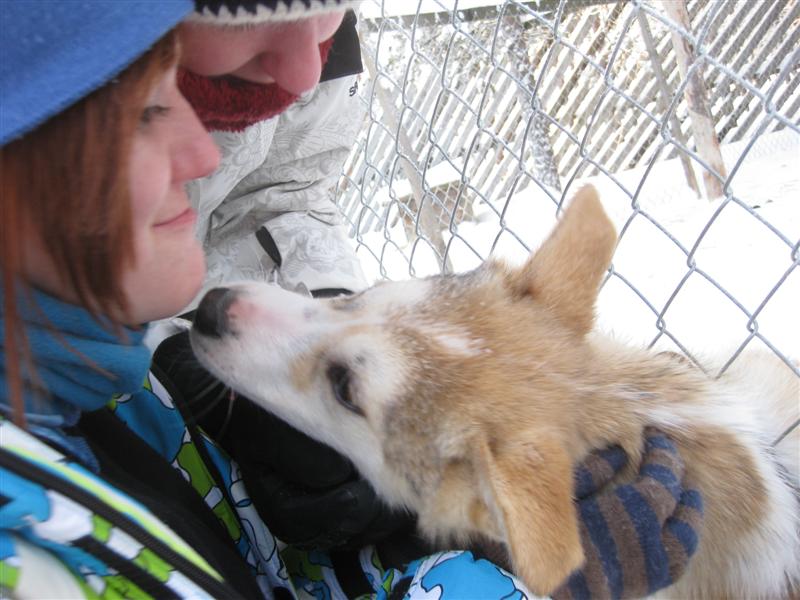 778x577 pixels (77K)