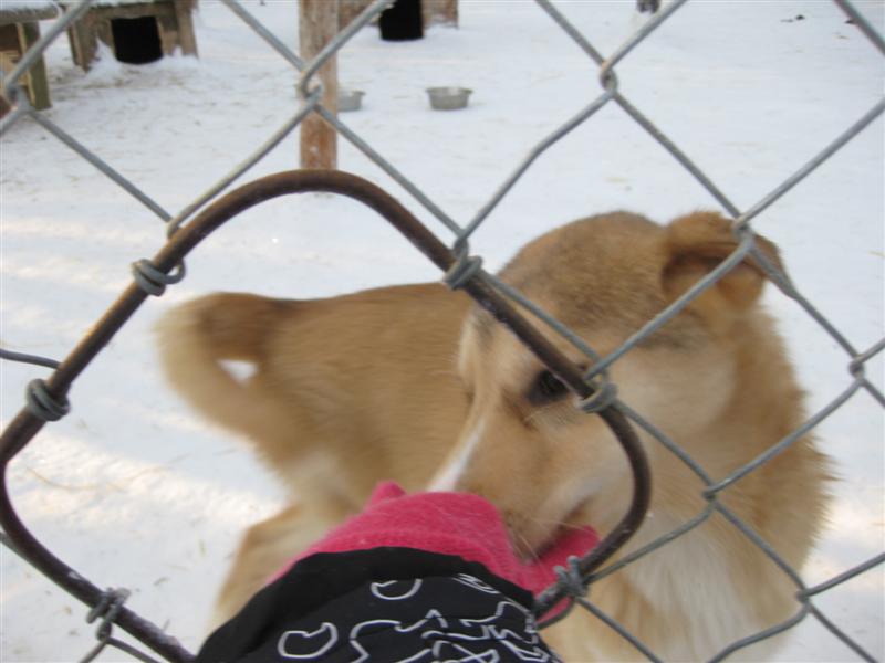 778x577 pixels (53K)