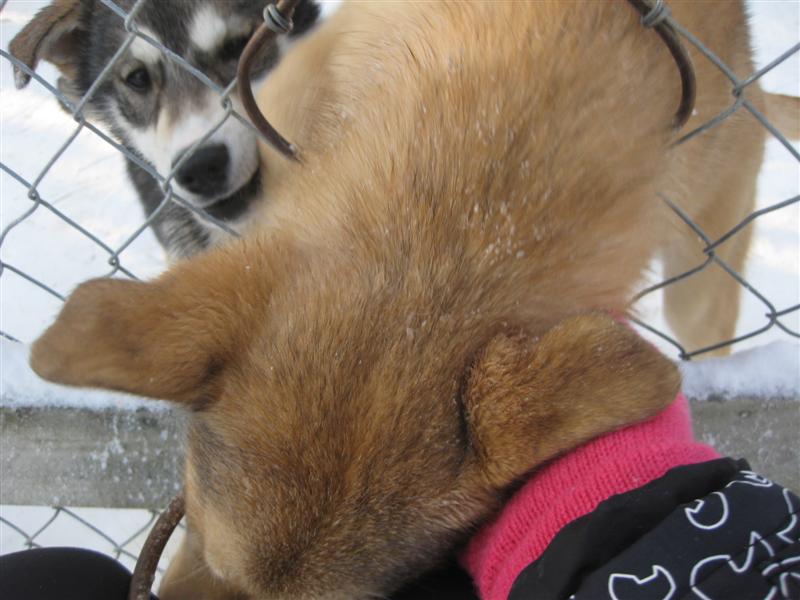 778x577 pixels (66K)