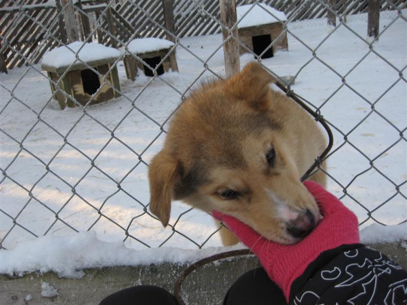 778x577 pixels (78K)