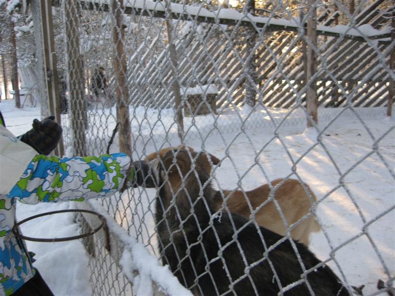 778x577 pixels (94K)