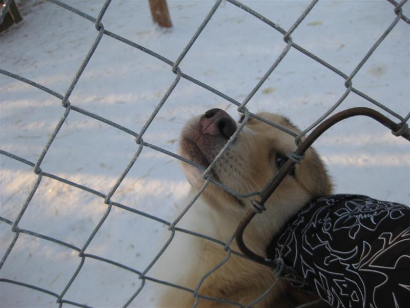 778x577 pixels (57K)