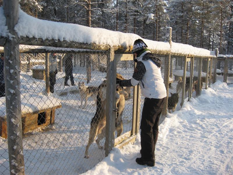 778x577 pixels (117K)