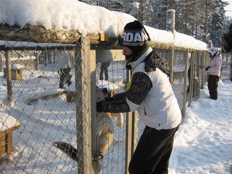 778x577 pixels (113K)