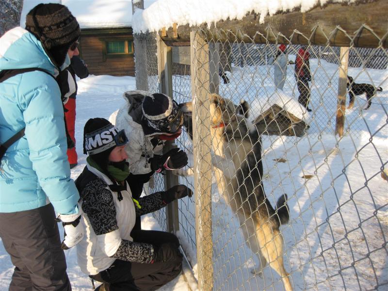 778x577 pixels (105K)