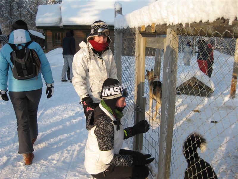 778x577 pixels (98K)