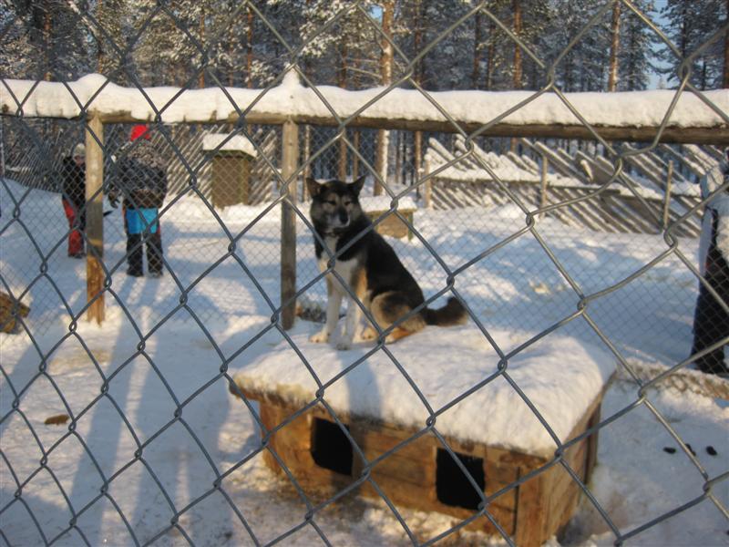 778x577 pixels (100K)