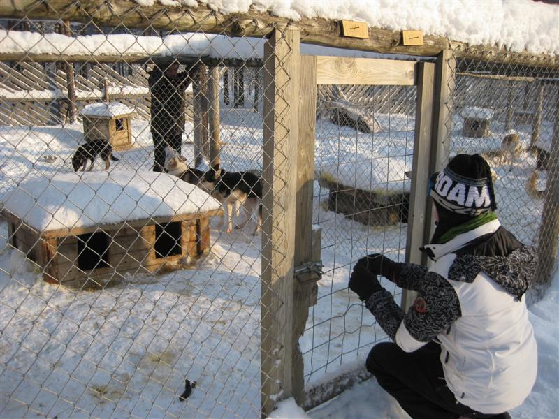 778x577 pixels (113K)