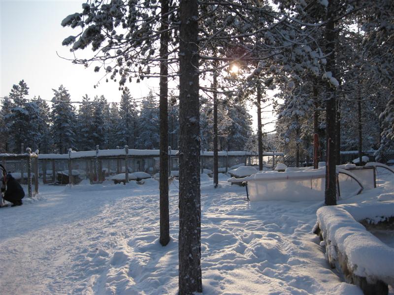 778x577 pixels (111K)