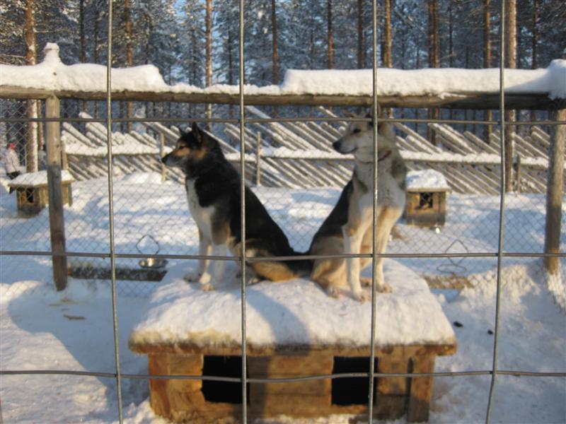 778x577 pixels (85K)