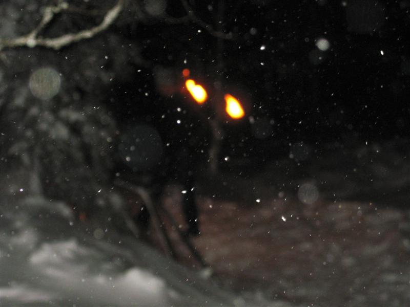 778x577 pixels (40K)