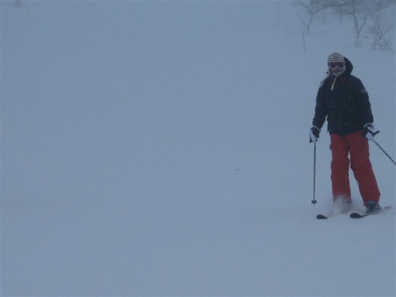 778x577 pixels (21K)